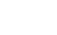 lsu